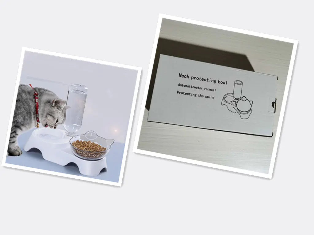 TiltedCat Feeder-Posture-Safe Food Bowl PAWORAH