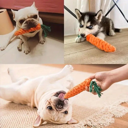 FurCarrot-Healthy Chew Toy PAWORAH