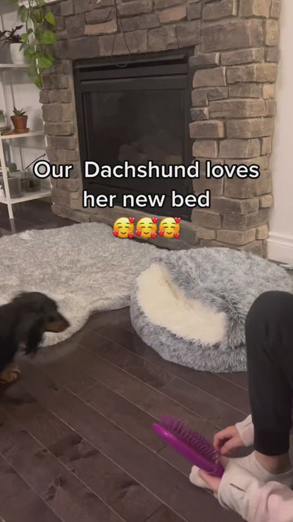 PurrLuxe-Cat and Dog Cave Bed