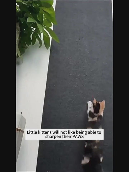 ScratchStop - Self-Adhesive Cat Scratch Mat