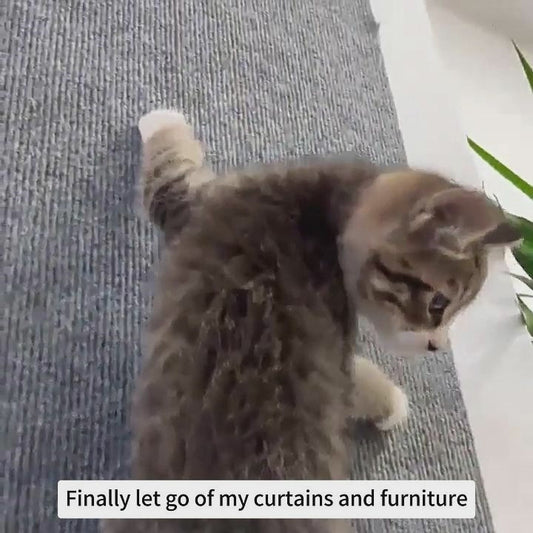 ScratchStop - Self-Adhesive Cat Scratch Mat